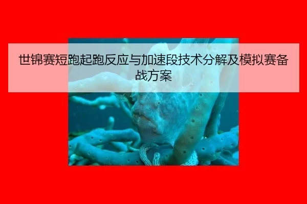 世锦赛短跑起跑反应与加速段技术分解及模拟赛备战方案